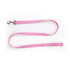 Nylon Pet Collar and Leash Set for Dogs