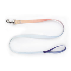 Nylon Pet Collar and Leash Set for Dogs