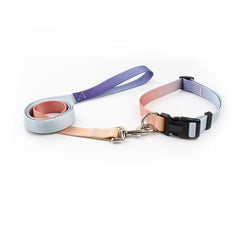 Nylon Pet Collar and Leash Set for Dogs