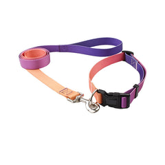 Nylon Pet Collar and Leash Set for Dogs