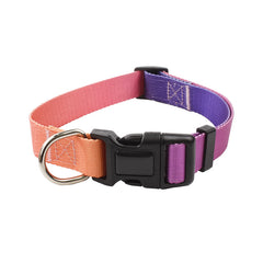 Nylon Pet Collar and Leash Set for Dogs