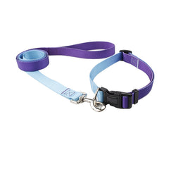 Nylon Pet Collar and Leash Set for Dogs