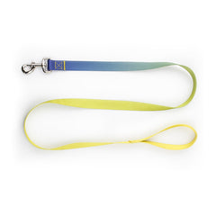Nylon Pet Collar and Leash Set for Dogs