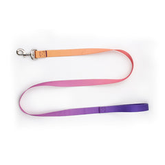Nylon Pet Collar and Leash Set for Dogs