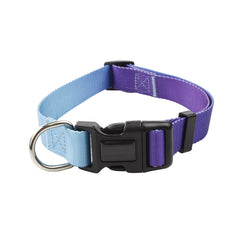 Nylon Pet Collar and Leash Set for Dogs