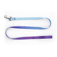 Nylon Pet Collar and Leash Set for Dogs