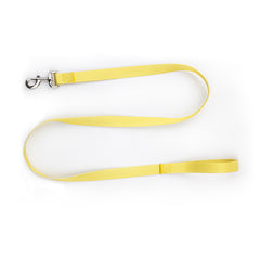Nylon Pet Collar and Leash Set for Dogs